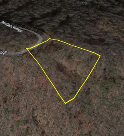 274 Andes Ridge Ellijay GA 30536