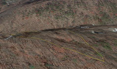 274 Andes Ridge Ellijay GA 30536