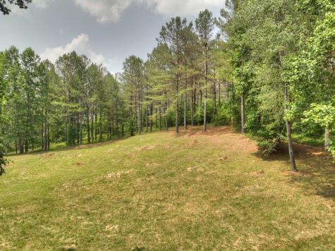Lot 31 Eastside Drive Ellijay GA 30536