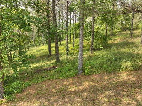 Lot 31 Eastside Drive Ellijay GA 30536