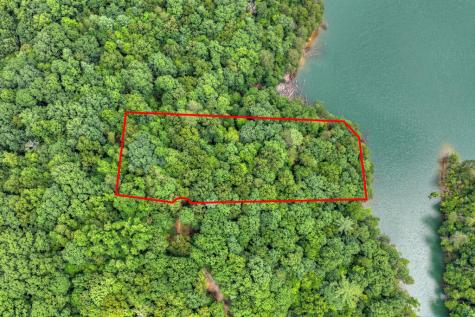 Lt 60 Necowa Cove Overlook Blue Ridge GA 30513