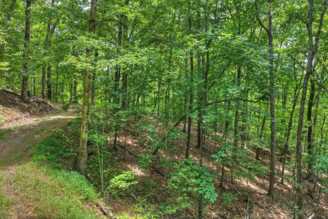Lt 60 Necowa Cove Overlook Blue Ridge GA 30513