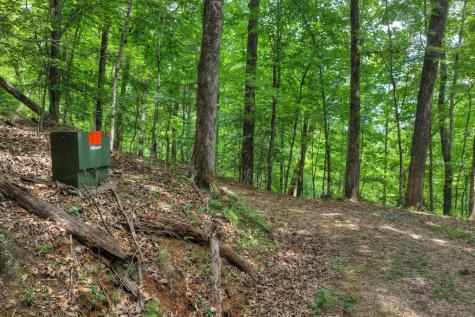 Lt 60 Necowa Cove Overlook Blue Ridge GA 30513