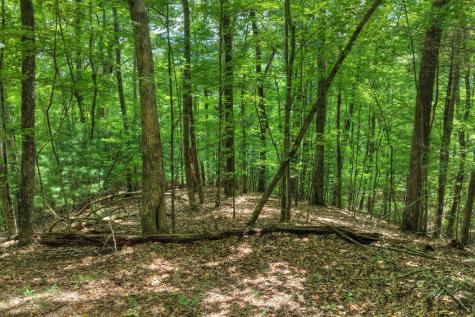 Lt 60 Necowa Cove Overlook Blue Ridge GA 30513