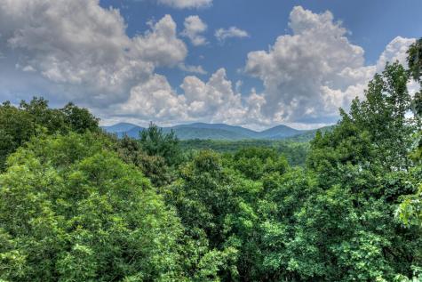 Lt 60 Necowa Cove Overlook Blue Ridge GA 30513