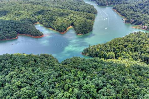 Lt 60 Necowa Cove Overlook Blue Ridge GA 30513