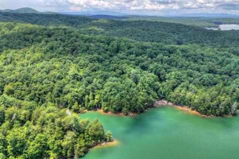Lt 60 Necowa Cove Overlook Blue Ridge GA 30513