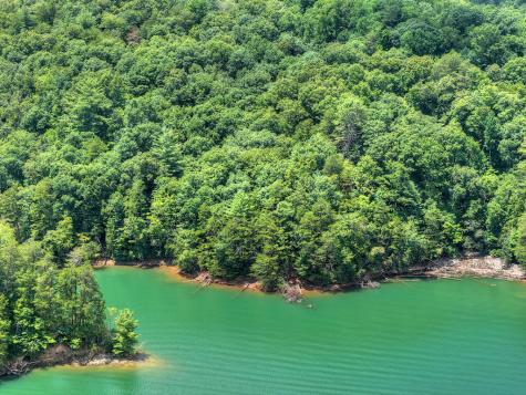 Lt 60 Necowa Cove Overlook Blue Ridge GA 30513