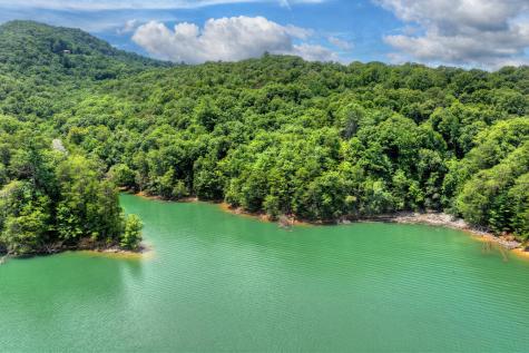 Lt 60 Necowa Cove Overlook Blue Ridge GA 30513