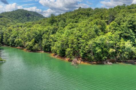 Lt 60 Necowa Cove Overlook Blue Ridge GA 30513