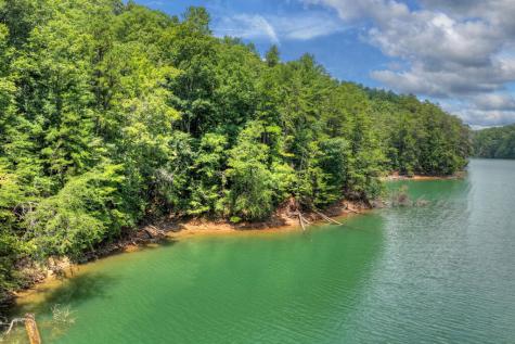 Lt 60 Necowa Cove Overlook Blue Ridge GA 30513
