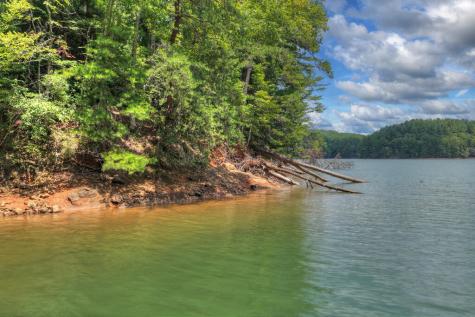 Lt 60 Necowa Cove Overlook Blue Ridge GA 30513