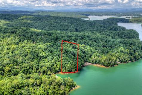 Lt 60 Necowa Cove Overlook Blue Ridge GA 30513