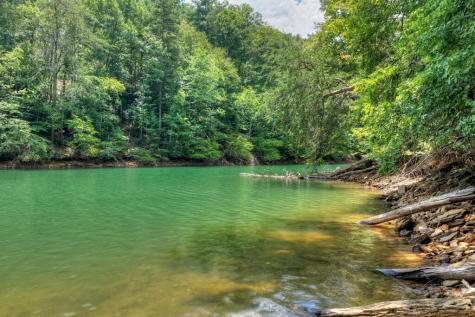 Lt 60 Necowa Cove Overlook Blue Ridge GA 30513