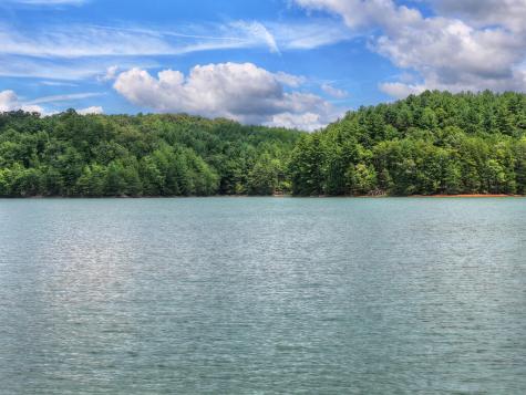 Lt 60 Necowa Cove Overlook Blue Ridge GA 30513