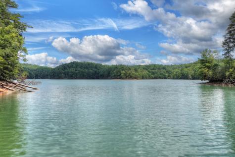 Lt 60 Necowa Cove Overlook Blue Ridge GA 30513