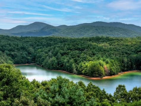 Lt 60 Necowa Cove Overlook Blue Ridge GA 30513