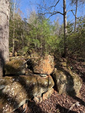 5 Acres Frogtown Place Dahlonega GA 30533