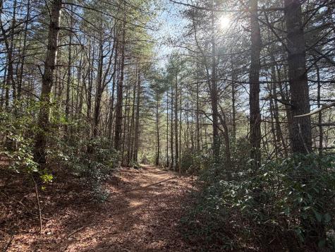 5 Acres Frogtown Place Dahlonega GA 30533