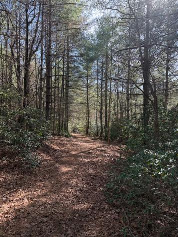 5 Acres Frogtown Place Dahlonega GA 30533