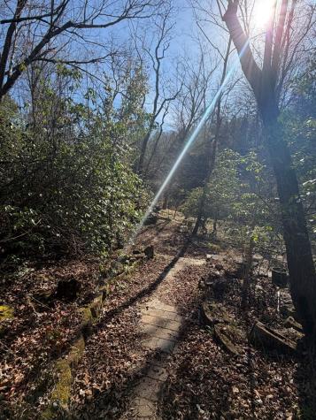 5 Acres Frogtown Place Dahlonega GA 30533