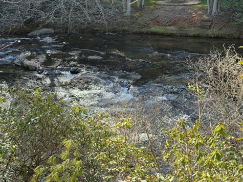 5 Acres Frogtown Place Dahlonega GA 30533