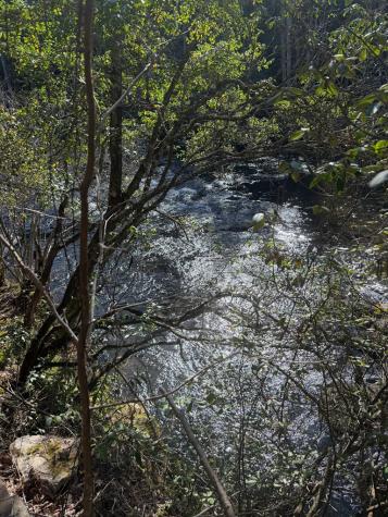 5 Acres Frogtown Place Dahlonega GA 30533