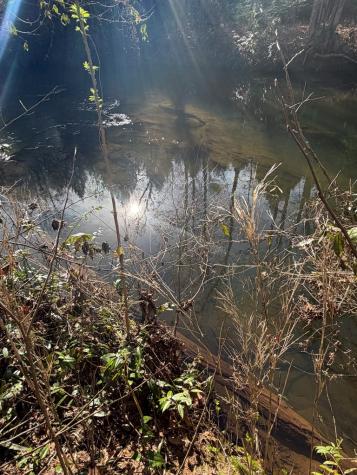 5 Acres Frogtown Place Dahlonega GA 30533