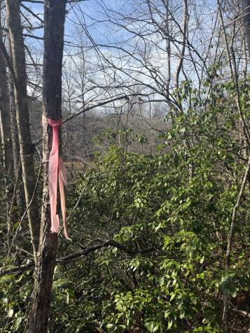 5 Acres Frogtown Place Dahlonega GA 30533