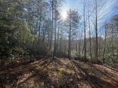 5 Acres Frogtown Place Dahlonega GA 30533