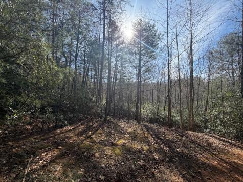 5 Acres Frogtown Place Dahlonega GA 30533