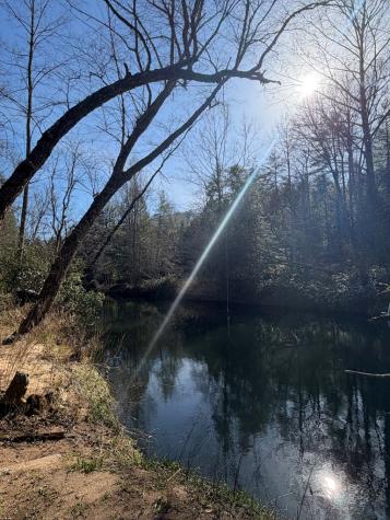 5 Acres Frogtown Place Dahlonega GA 30533