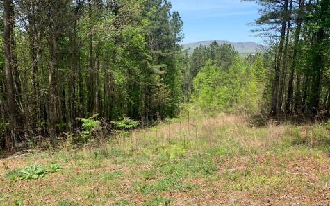 Lot 28 Loftis Mountain Blairsville GA 30512