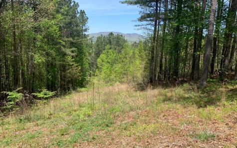 Lot 28 Loftis Mountain Blairsville GA 30512