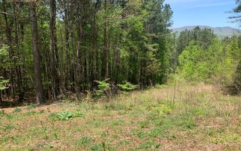Lot 28 Loftis Mountain Blairsville GA 30512