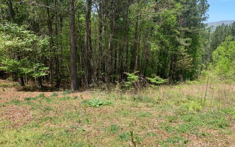 Lot 28 Loftis Mountain Blairsville GA 30512