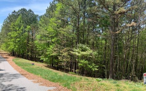 Lot 28 Loftis Mountain Blairsville GA 30512