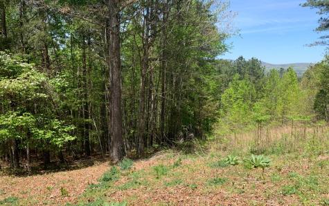 Lot 28 Loftis Mountain Blairsville GA 30512