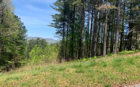 Lot 28 Loftis Mountain Blairsville GA 30512