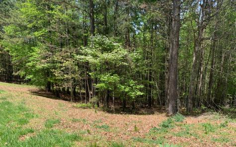 Lot 28 Loftis Mountain Blairsville GA 30512