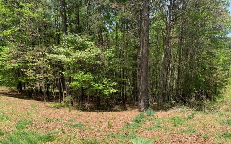 Lot 28 Loftis Mountain Blairsville GA 30512