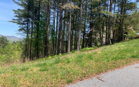 Lot 28 Loftis Mountain Blairsville GA 30512