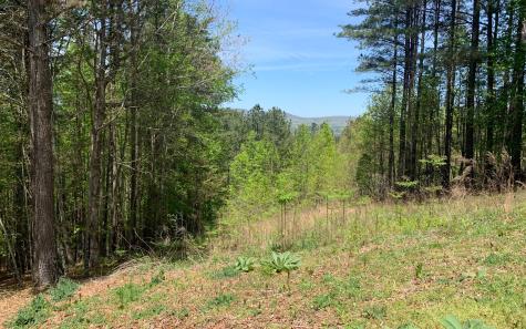 Lot 28 Loftis Mountain Blairsville GA 30512