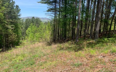 Lot 28 Loftis Mountain Blairsville GA 30512