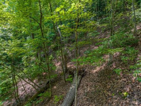 13.01 Ac New Stansbury Road Ducktown TN 37326
