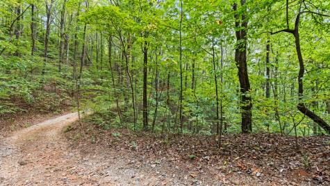 23 B Lake View Road Cherry Log GA 30522