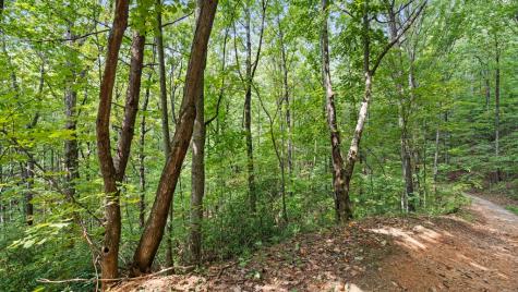 23 B Lake View Road Cherry Log GA 30522