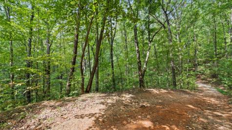 23 B Lake View Road Cherry Log GA 30522