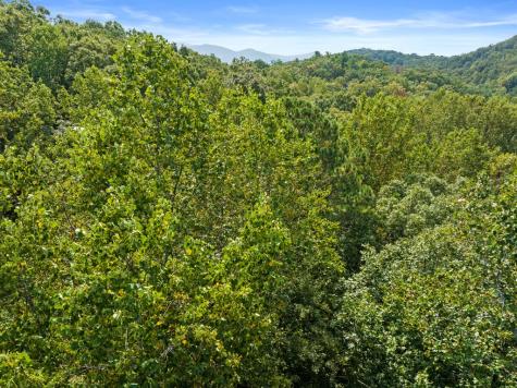 23 B Lake View Road Cherry Log GA 30522