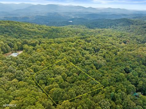 23 B Lake View Road Cherry Log GA 30522